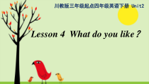川教版英语四年级下册《Lesson 4 What Do You Like？》公开课PPT课件2