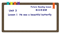 川教版英语六年级下册《Lesson 1 He Was a Beautiful Butterfly》优质PPT课件3