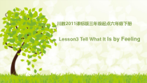 川教版英语六年级下册《Lesson 3 Tell What It Is by Feeling》PPT课件1