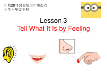 川教版英语六年级下册《Lesson 3 Tell What It Is by Feeling》PPT课件3