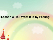 川教版英语六年级下册《Lesson 3 Tell What It Is by Feeling》备课PPT课件3