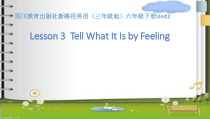 川教版英语六年级下册《Lesson 3 Tell What It Is by Feeling》优质PPT课件1