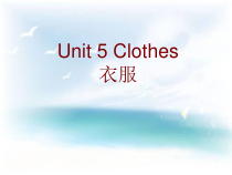 广东开心英语三年级下册《Unit 5 Clothes》PPT课件(共12页)