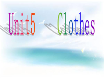 广东开心英语三年级下册《Unit 5 Clothes》PPT课件(共21页)