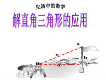 《解直角三角形》PPT课件2-九年级上册数学华师大版