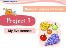 沪教牛津版（三起）英语四下《Project 1 My five senses》Project 1