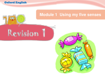 沪教牛津版（三起）英语四下《Project 1 My five senses》Revision 1