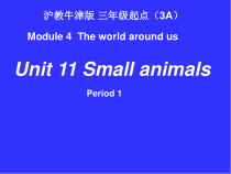 沪教版英语三年级上册《Unit 11 Small animals》公开课PPT课件1