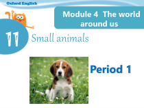 沪教版英语三年级上册《Unit 11 Small animals》PPT课件1