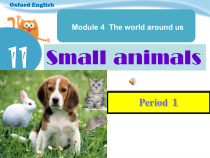 沪教版英语三年级上册《Unit 11 Small animals》集体备课PPT课件3