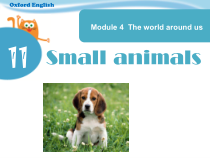 沪教版英语三年级上册《Unit 11 Small animals》教学PPT课件3