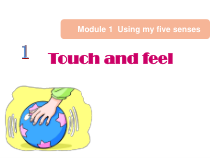 沪教版英语四年级下册《Unit 1 Touch and feel》PPT课件2