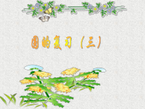 《复习》PPT课件2-九年级下册数学华师大版