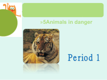 沪教版英语六年级上册《Unit 5 Animals in danger》PPT课件
