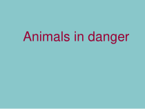 沪教版英语六年级上册《Unit 5 Animals in danger》优质PPT课件1