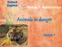 沪教版英语六年级上册《Unit 5 Animals in danger》PPT课件2