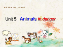 沪教版英语六年级上册《Unit 5 Animals in danger》精品PPT课件3