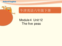 沪教版英语六年级下册《Unit 12 The five peas》精品PPT课件1