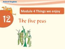 沪教版英语六年级下册《Unit 12 The five peas》优质课PPT课件3