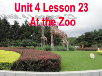 冀教版(一起)英语一年级下册《Unit 4 Lesson 23 At the Zoo》PPT课件(共11页)