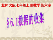 《1 数据的收集》PPT课件1-七年级上册数学北师大版
