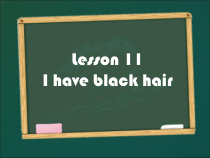 接力版英语三年级下册《Lesson 11 I have black hair》教案+课件+音频素材