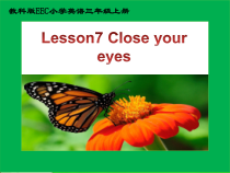 教科版（EEC）英语三年级上册《Unit 7 Close your eyes》教学PPT课件2