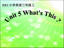 教科版（EEC）英语三年级上册《Unit 5 What's This Period 3》教学PPT课件2
