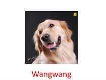 教科版（EEC）英语三年级下册《Unit 7 Where’s Wangwang Period 1》PPT课件1