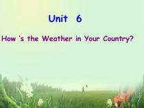教科版（EEC）英语五年级下册《Unit 6 How’s the Weather in Your Country Period 2》精品PPT课件3