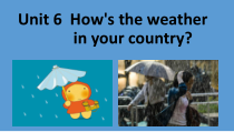 教科版（EEC）英语五年级下册《Unit 6 How’s the Weather in Your Country Period 3》公开课PPT课件2