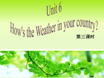 教科版（EEC）英语五年级下册《Unit 6 How’s the Weather in Your Country Period 3》教学PPT课件2