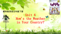 教科版（EEC）英语五年级下册《Unit 6 How’s the Weather in Your Country Period 3》公开课PPT课件3
