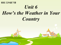 教科版（EEC）英语五年级下册《Unit 6 How’s the Weather in Your Country Period 3》精品PPT课件3