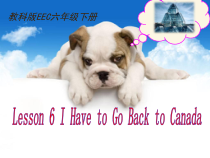 教科版（EEC）英语六年级下册《Unit 6 I Have to Go Back to Canada》精品PPT课件1