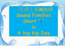 教科版英语三年级上册《Sound Families Short “i”in A big big day》PPT课件5