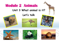 教科版英语六年级下册《Unit 3 What animal is it》公开课PPT课件3