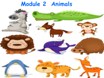 教科版英语六年级下册《Module 2 Animals》PPT课件5