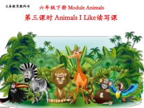 教科版英语六年级下册《Module 2 Animals》公开课PPT课件6