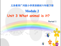 教科版英语六年级下册《Unit 3 What animal is it》集体备课PPT课件3