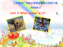 教科版英语六年级下册《Unit 3 What animal is it》公开课PPT课件4