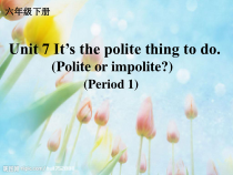 教科版英语六年级下册《Unit 7 It’s the polite thing to do》优质课PPT课件6