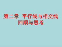 《复习题》PPT课件3-七年级下册数学北师大版