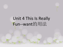 教科版英语四年级下册《Unit 4 This Is Really Fun》课件+音频素材