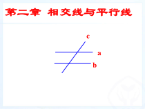 《对顶角、余角和补角》PPT课件2-七年级下册数学北师大版