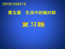 《复习题》PPT课件2-七年级下册数学北师大版