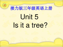 接力版英语三年级上册《Lesson 5 Is it a tree？》优质PPT课件4