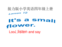 接力版英语四年级上册《Lesson 12 It’s a small flower》优质课PPT课件2