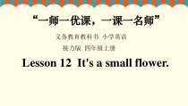 接力版英语四年级上册《Lesson 12 It’s a small flower》公开课PPT课件3