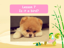 科普版英语三年级上册《Lesson 7 Is it a bird？》优质课PPT课件3
